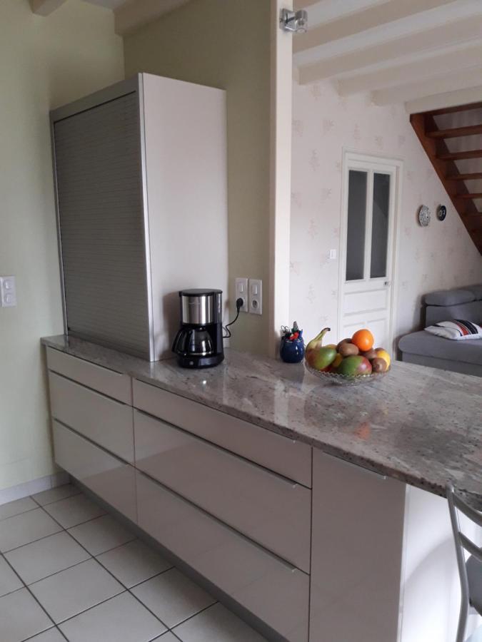 Le Logis De Lange Apt Les Aigrettes Saint-Hilaire-la-Palud Exteriör bild