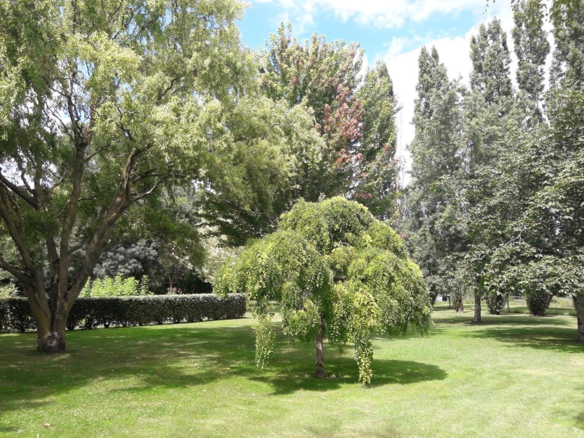 Le Logis De Lange Apt Les Aigrettes Saint-Hilaire-la-Palud Exteriör bild