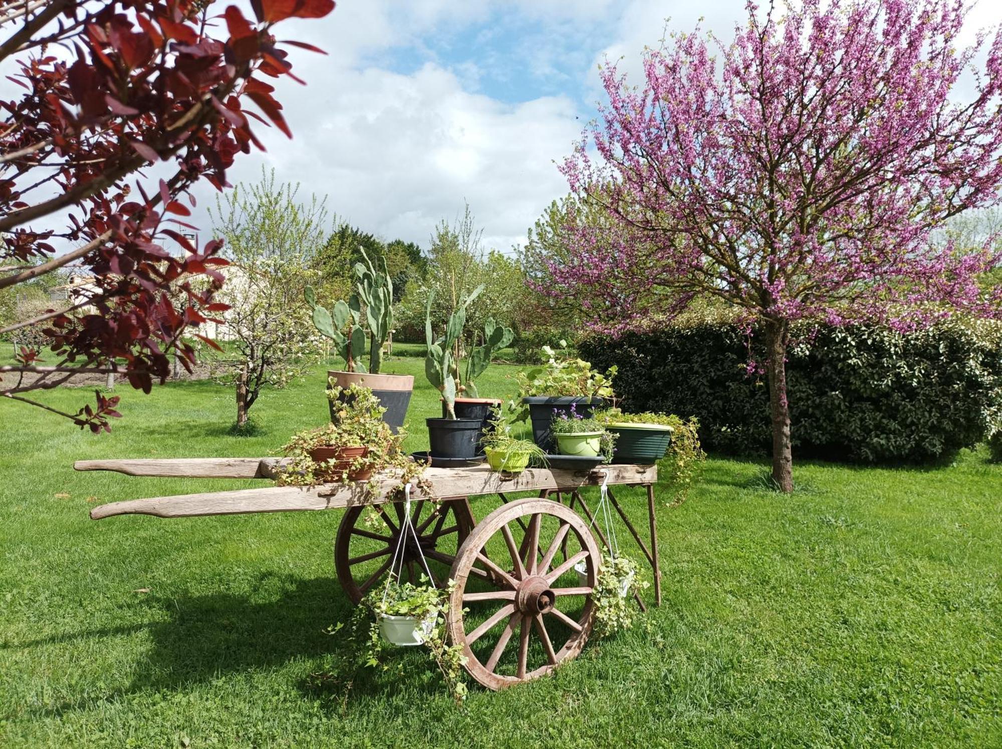 Le Logis De Lange Apt Les Aigrettes Saint-Hilaire-la-Palud Exteriör bild