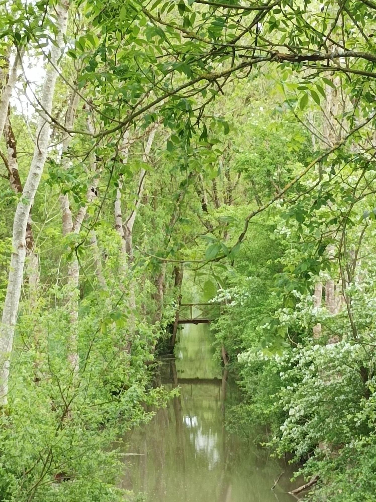 Le Logis De Lange Apt Les Aigrettes Saint-Hilaire-la-Palud Exteriör bild